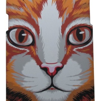 Air Jacket Back Cover Θήκη Πλαστική Με Σχέδιο Γάτα (Samsung Galaxy Grand Prime & Samsung Galaxy J2 Prime)