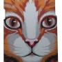 Air Jacket Back Cover Θήκη Πλαστική Με Σχέδιο Γάτα (Samsung Galaxy Grand Prime & Samsung Galaxy J2 Prime)