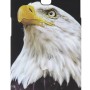 Air Jacket Back Cover Θήκη Πλαστική Με Σχέδιο Αετός (Samsung Galaxy J6 Plus)