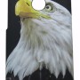Air Jacket Back Cover Θήκη Πλαστική Με Σχέδιο Αετός (Samsung Galaxy A20 & Samsung Galaxy A30 & Samsung Galaxy M10s)