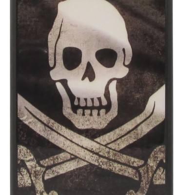 Back Cover Θήκη Με Σχέδιο Skull (Huawei Y5 2019 & Honor 8S)