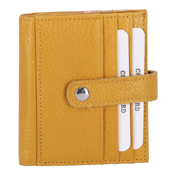 Δερμάτινη Θήκη για Κάρτες 0660