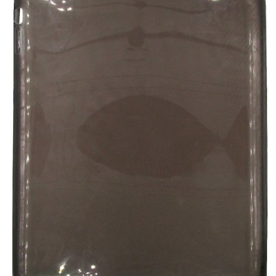 Back Cover Θήκη Tablet Σιλικόνη (iPad 2 & iPad 3 & iPad 4)