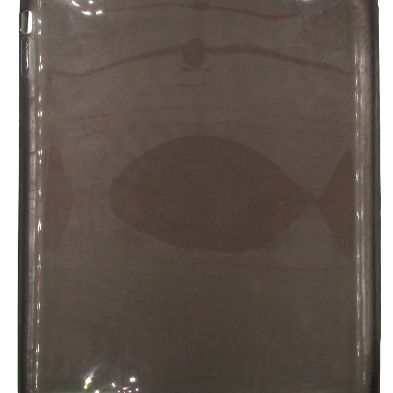 Back Cover Θήκη Tablet Σιλικόνη (iPad 2 & iPad 3 & iPad 4)