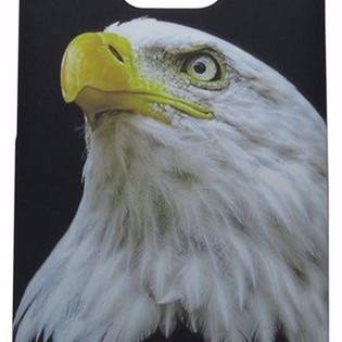 Air Jacket Back Cover Θήκη Πλαστική Με Σχέδιο Αετός (Huawei Mate 20 Pro)