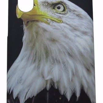Air Jacket Back Cover Θήκη Πλαστική Με Σχέδιο Αετός (Huawei P30 Pro & Huawei P30 Plus)