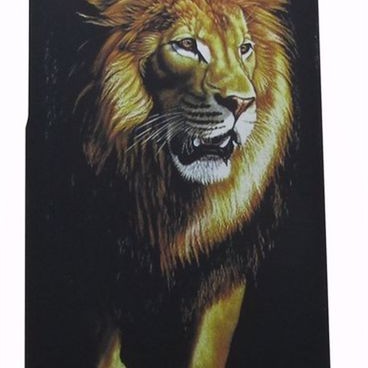 Air Jacket Back Cover Θήκη Πλαστική Με Σχέδιο Λιοντάρι (Huawei Y5 2019 & Honor 8S)